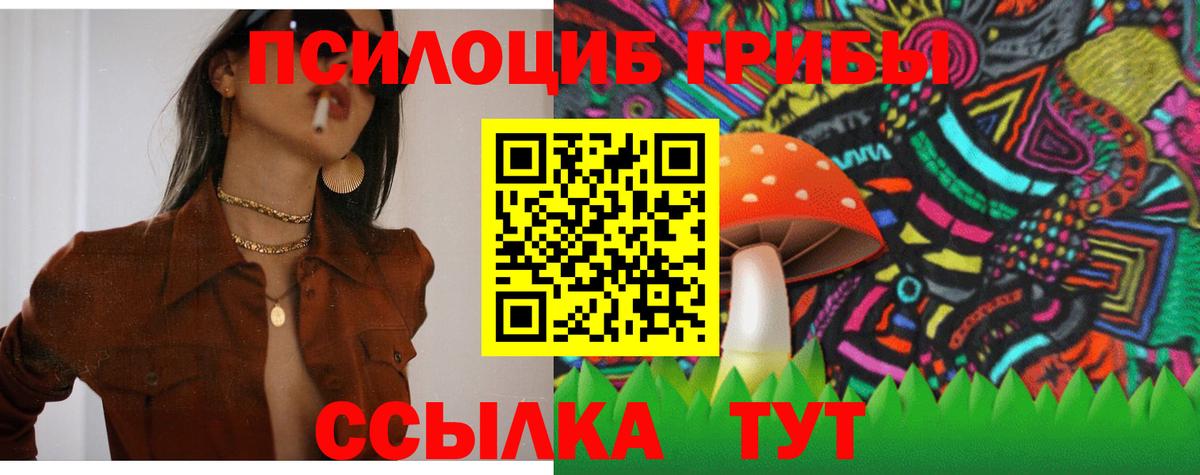 Псилоцибиновые грибы Magic Shrooms  Вход с VPN  Псилоцибиновые грибы MAGIC MUSHROOMS  Тверь 